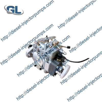 KI-POR 생성기를 위한 좋은 가격 디젤 연료 주입 펌프 VE3/9F1500L376AG 0001060376
