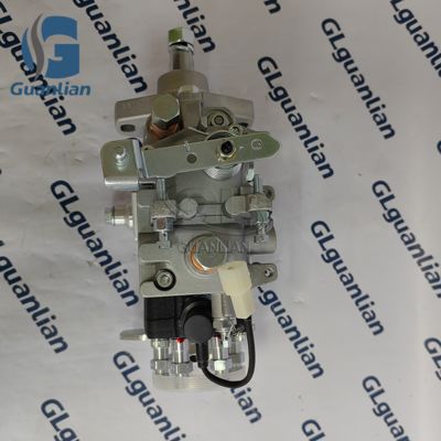 22100-1C190 새로운 디젤 연료 펌프 22100-1C190 VE6/10F1900RND264 196000-2640